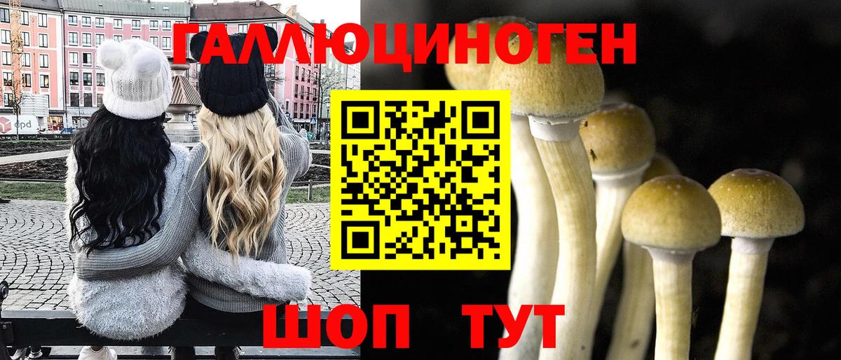 Псилоцибиновые грибы мухоморы Россошь