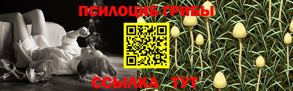 сколько стоит  Псилоцибиновые грибы Cubensis  Вход с VPN  Россошь  Галлюциногенные грибы ЛСД 
